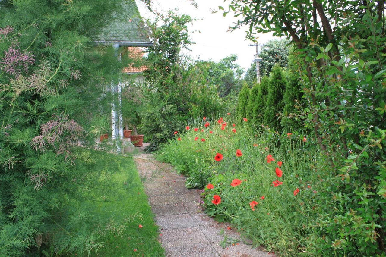 Boulevard Garden House - Free And Save Parking In The Locked Yard Чуприя Экстерьер фото